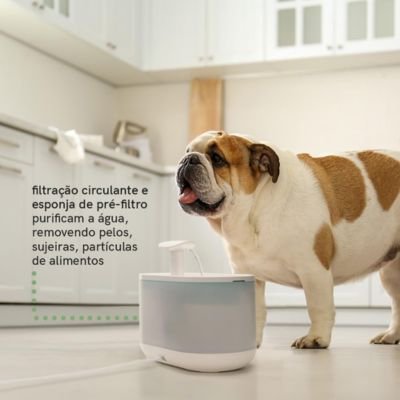 Fonte de Água para Pet da Mimo